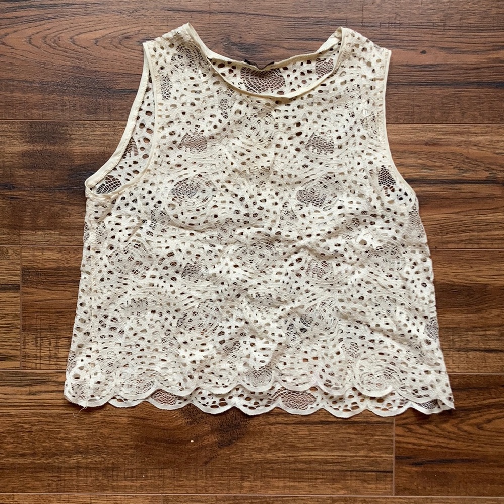 Sheer crop top